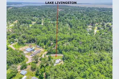 194 Mule Deer Trail, Onalaska, TX 77360 - Photo 28