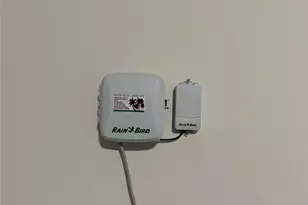 649 Jaboncillo St, New Braunfels, TX 78132 - Photo 42