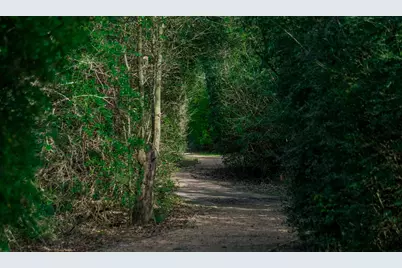 16603 Cedar Manor Court, Cypress, TX 77429 - Photo 40