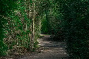 16603 Cedar Manor Ct, Cypress, TX 77429 - Photo 40