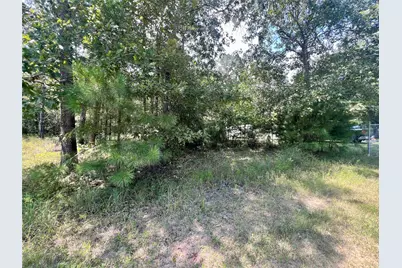 Tbd Hidden Oaks Drive, Point Blank, TX 77364 - Photo 4