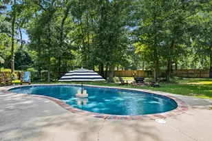 15217 Paradise Point Dr, Willis, TX 77318 - Photo 34