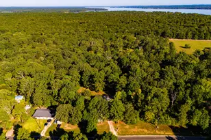 300 Hidden Oaks Dr, Point Blank, TX 77364 - Photo 32