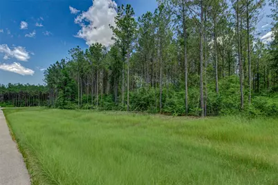 16215 Golden Wood Court, Willis, TX 77378 - Photo 14