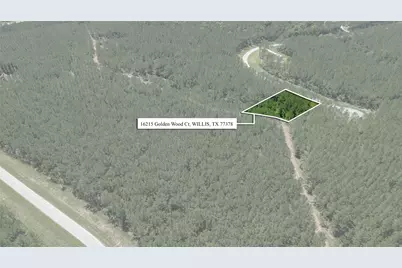 16215 Golden Wood Court, Willis, TX 77378 - Photo 1