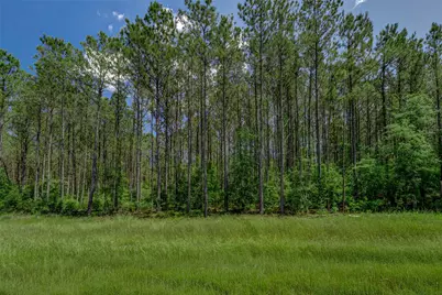 16215 Golden Wood Court, Willis, TX 77378 - Photo 4