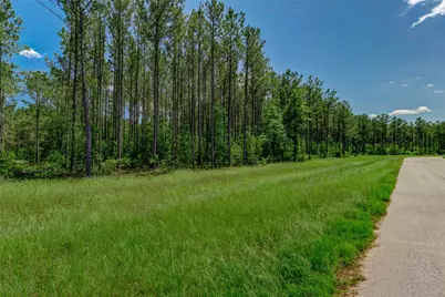 16215 Golden Wood Court, Willis, TX 77378 - Photo 2