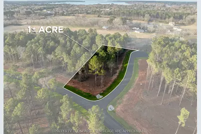 Lot 25 & B9 Oak River, Frankston, TX 75763 - Photo 1