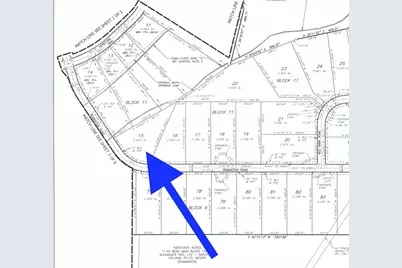 2-11-15 Tbd Remington Road, Huntsville, TX 77340 - Photo 2