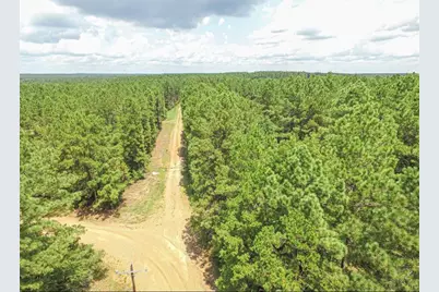 Tbd Hickman Road, Corrigan, TX 75939 - Photo 4