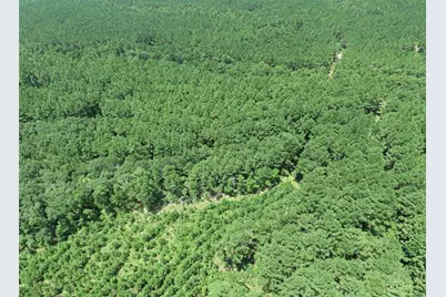 Tbd Hickman Road, Corrigan, TX 75939 - Photo 6