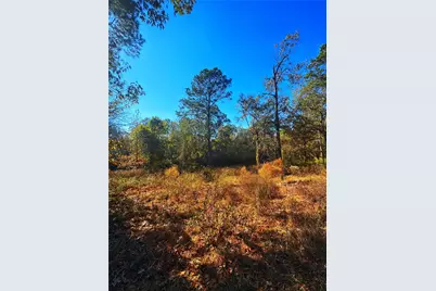 1405 May Drive, Onalaska, TX 77360 - Photo 26