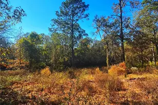 1405 May Dr, Onalaska, TX 77360 - Photo 26