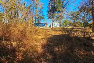 1405 May Dr, Onalaska, TX 77360 - Photo 28