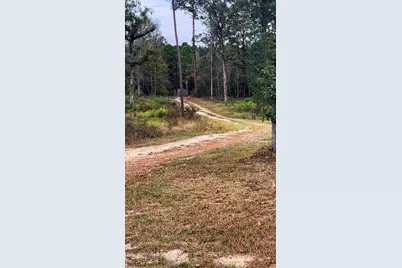 1405 May Drive, Onalaska, TX 77360 - Photo 4