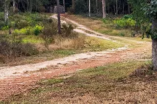 1405 May Dr, Onalaska, TX 77360 - Photo 4