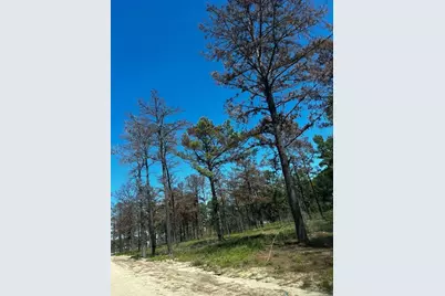 0 Hardy Toll Road, Houston, TX 77073 - Photo 4