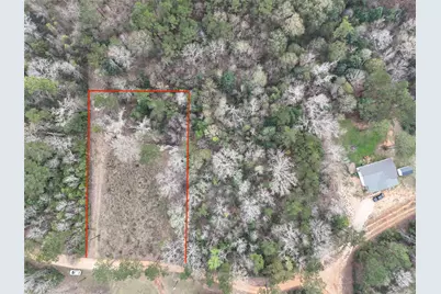 Tbd Mudd Road, Livingston, TX 77351 - Photo 4