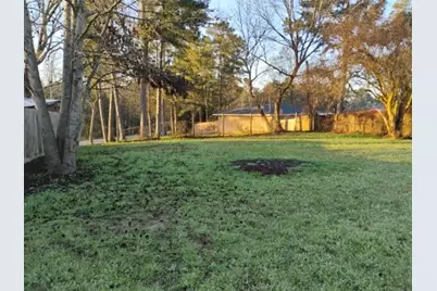 133 Shady Ridge Drive, Onalaska, TX 77360 - Photo 4