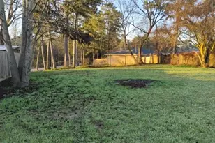 133 Shady Ridge Dr, Onalaska, TX 77360 - Photo 4