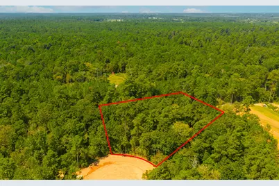 26426 Old Head Trail, Montgomery, TX 77316 - Photo 4