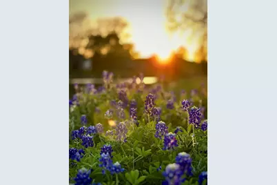 31119 Riverlake Road, Fulshear, TX 77441 - Photo 14