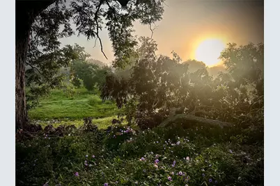 31119 Riverlake Road, Fulshear, TX 77441 - Photo 22