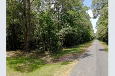 00 County Road 2131, Cleveland, TX 77327 - Photo 18