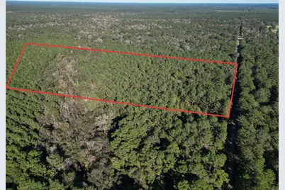 0 County Road 2125, Cleveland, TX 77327 - Photo 4