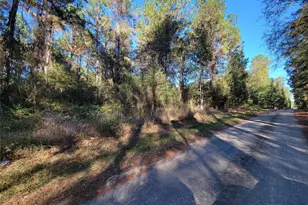 0 Co Rd 2125, Cleveland, TX 77327 - Photo 1