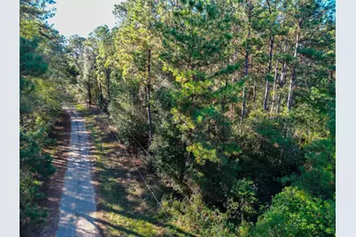 0 County Road 2125, Cleveland, TX 77327 - Photo 12