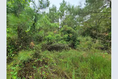 20122 Meadow Lake Road, Cleveland, TX 77328 - Photo 30