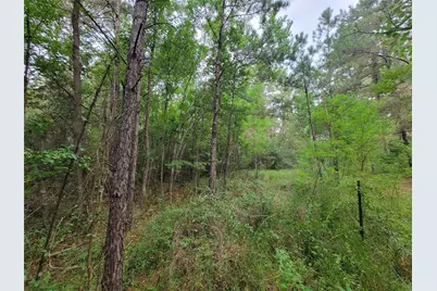 20122 Meadow Lake Road, Cleveland, TX 77328 - Photo 24