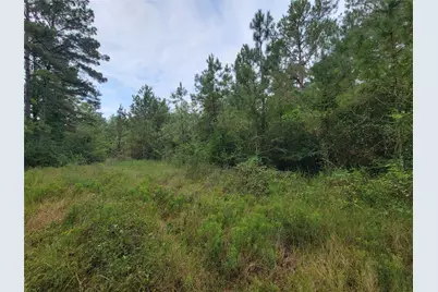 20122 Meadow Lake Road, Cleveland, TX 77328 - Photo 26