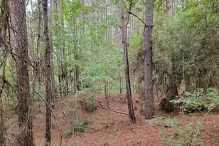 20122 Meadow Lake Rd, Cleveland, TX 77328 - Photo 38