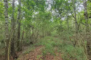 20122 Meadow Lake Rd, Cleveland, TX 77328 - Photo 14