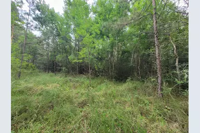 20122 Meadow Lake Road, Cleveland, TX 77328 - Photo 20