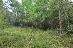 20122 Meadow Lake Rd, Cleveland, TX 77328 - Photo 20