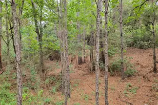 20122 Meadow Lake Rd, Cleveland, TX 77328 - Photo 36