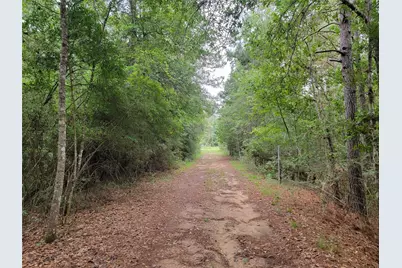 20122 Meadow Lake Road, Cleveland, TX 77328 - Photo 2