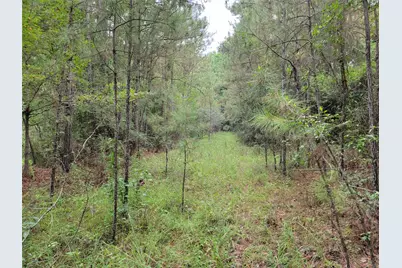 20122 Meadow Lake Road, Cleveland, TX 77328 - Photo 34