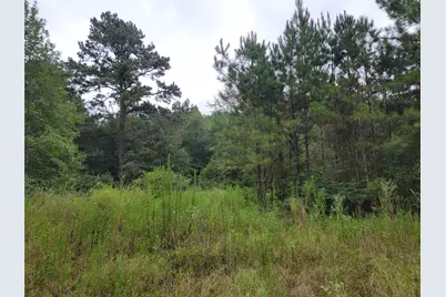 20122 Meadow Lake Road, Cleveland, TX 77328 - Photo 48