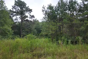 20122 Meadow Lake Rd, Cleveland, TX 77328 - Photo 48