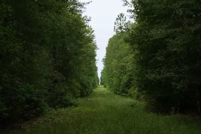 Tbd Fm 770, Kountze, TX 77625 - Photo 18