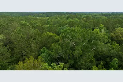 Tbd Fm 770, Kountze, TX 77625 - Photo 14
