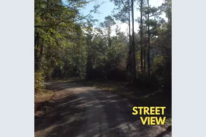 - Lakeview Estates Drive, Coldspring, TX 77331 - Photo 10