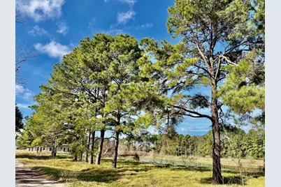 850 County Road 149 Off Tx 77511, Alvin, TX 77511 - Photo 2