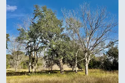 850 County Road 149 Off Tx 77511, Alvin, TX 77511 - Photo 8