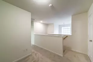 246 W Stedhill Loop, The Woodlands, TX 77384 - Photo 16