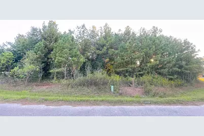 0 Road 3413, Cleveland, TX 77327 - Photo 2